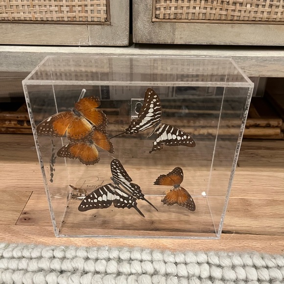 Vintage Lucite Butterfly Display - Picture 2 of 3